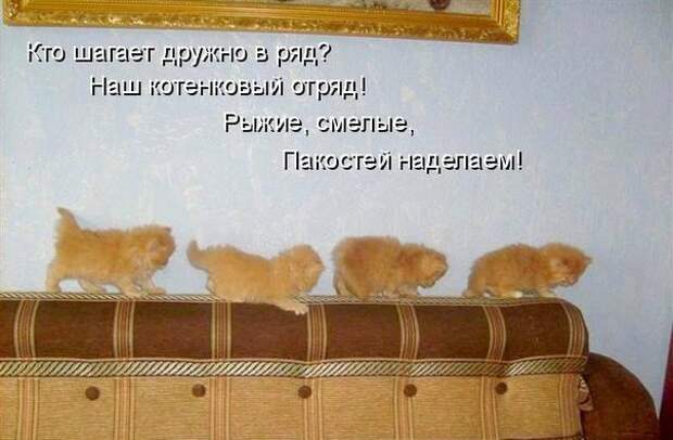 Всяко - разно 45 ))) Всяко - разно 45 )))