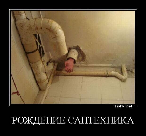 Демотиваторы демотиваторы, прикол, смех, юмор