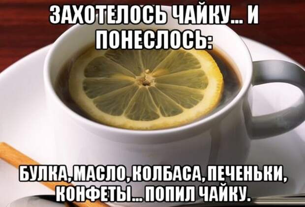 Смешные картинки с подписями Смешные картинки с подписями картинки, юмор