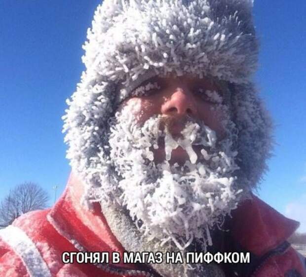 Прикольные картинки для всех (43 шт)