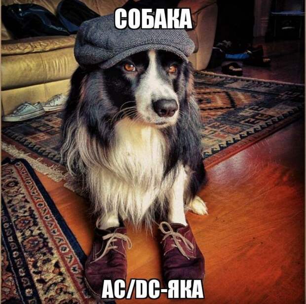 Картинки с надписями - свежие приколы Картинки с надписями - свежие приколы