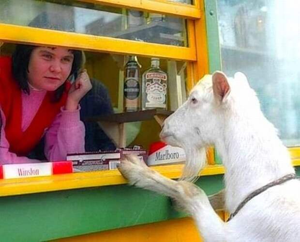 Эх, Россия (72 фото) Эх, Россия (72 фото)