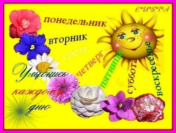 Ответы@Mail.Ru: Мужчины!а Вы знаете какой цветок нужно дарить Любимой на каждый день недели,чтоб она всегда улыбалась???+++фото