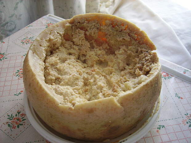 7. Казу Марцу (традиционный сардинский овечий сыр с опарышами) блюдо, мир, экзотика