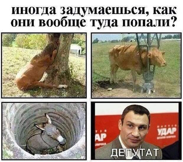 Картинки
