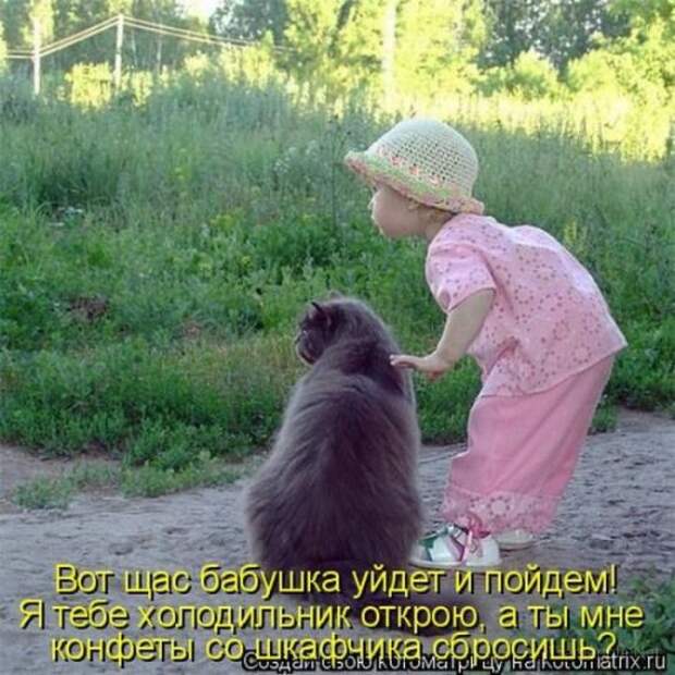 Подборка Котоматриц 2010 - Выпуск 28