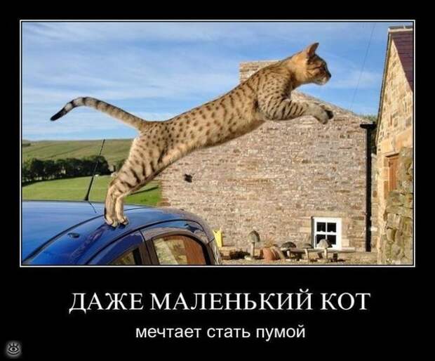 У каждого своя Олимпиада 1