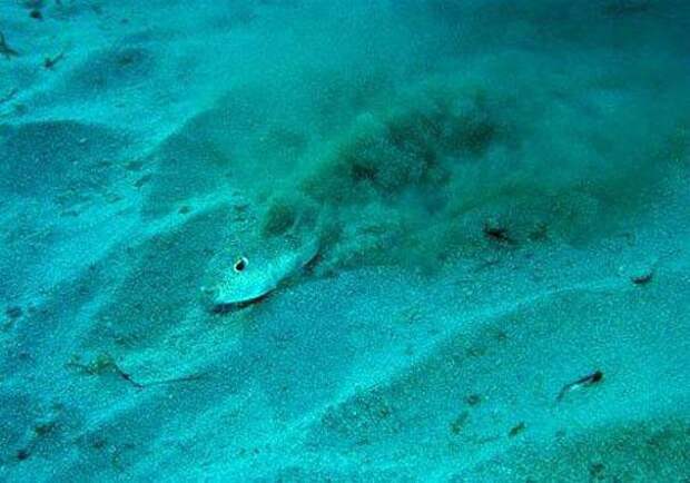 загадочные круги под водой