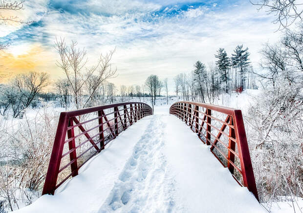 I-took-on-a-personal-challenge-to-create-beautiful-artwork-within-a-15km-radius-of-my-home-43__880