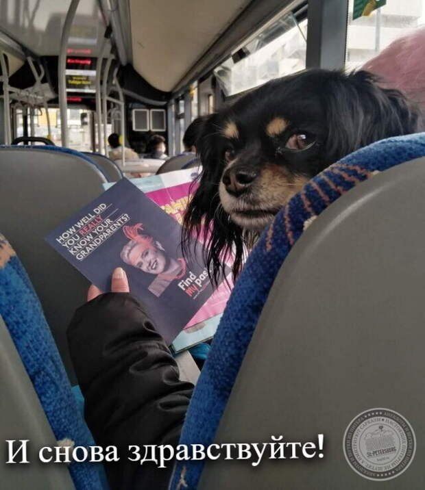 И снова здравствуйте!