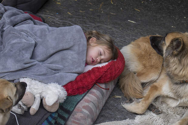 DSCF7186.jpg DSCF7186.jpg