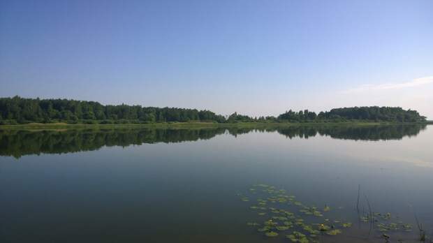 10. Иваньковское водохранилище. москва, подмосковье, рыбалка