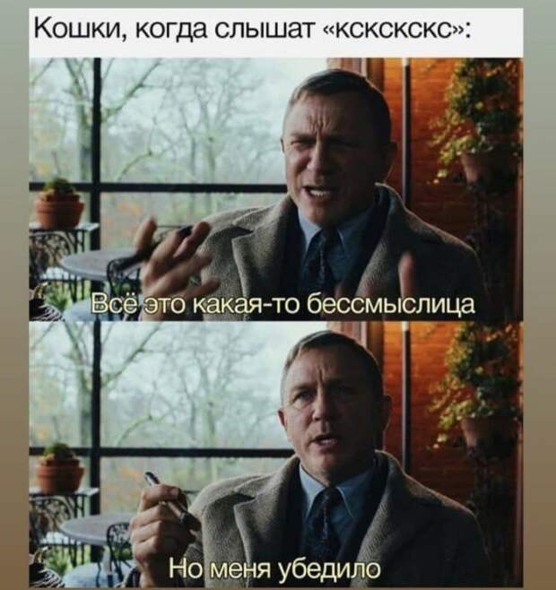 Лучшие шутки и мемы из Сети