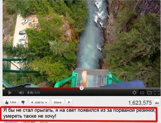 Смешные комментарии из социальных сетей комментарий, социальная сеть, юмор