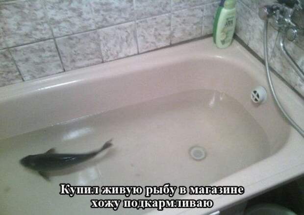 Позитивные картинки