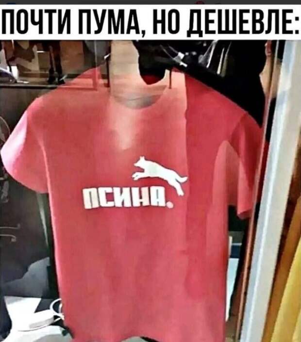 Картинки с юмором (4)