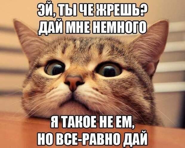 ПОДБОРКА ФОТОПРИКОЛОВ № 216