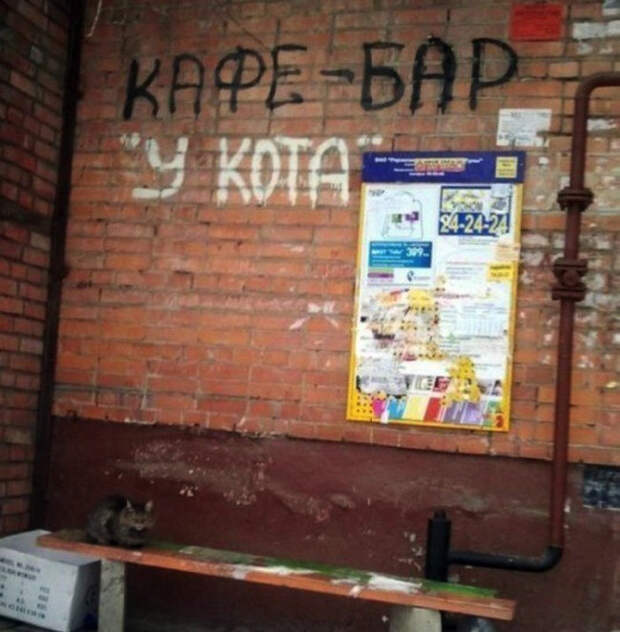 странные названия кафе 