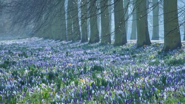 Климат — это то, чего вы ожидаете, а погода — то, что вы получаете. Представляем прогноз на 6 апреля в Туле