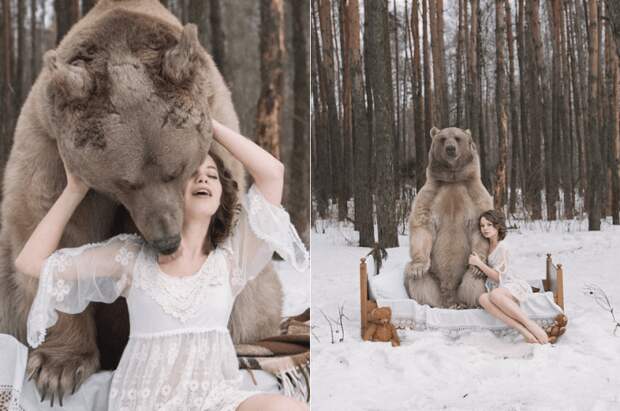 медведь и модели 