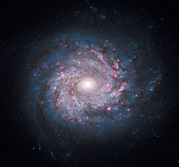 Space Photos 2010_2