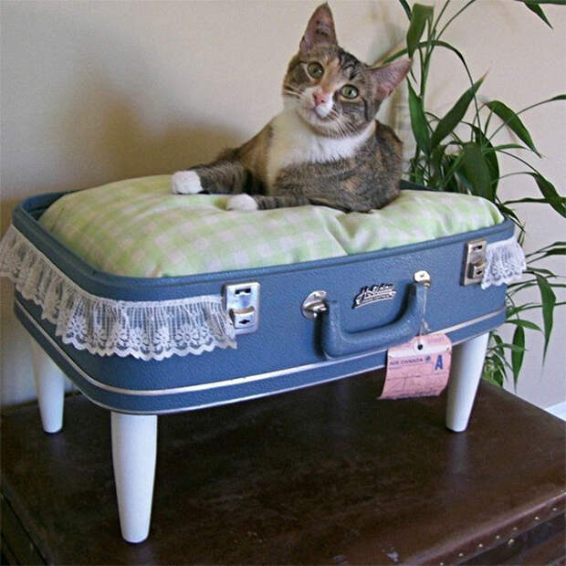 13. Кошачья кроватка из чемодана 13. Кошачья кроватка из чемодана вещи, дизайн, идея, креатив