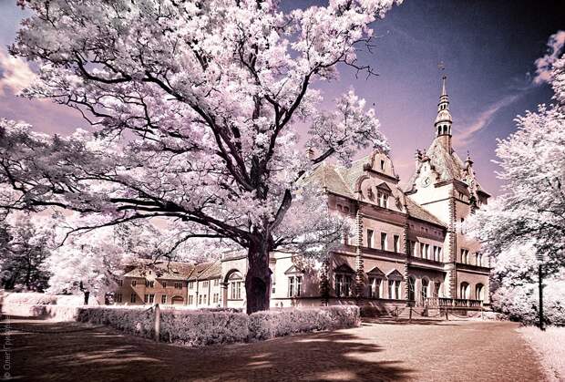 infrared06 infrared06 Инфракрасная фотография от Олега Григорьева