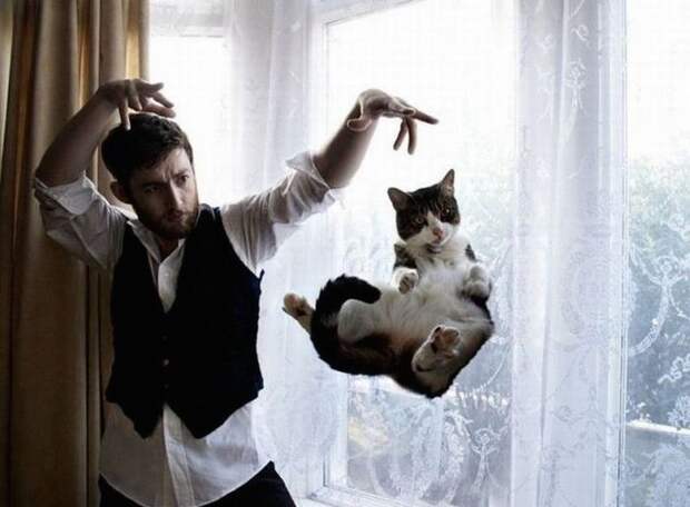 lolcats01 100 лучших фотографий кошек всех времен и народов