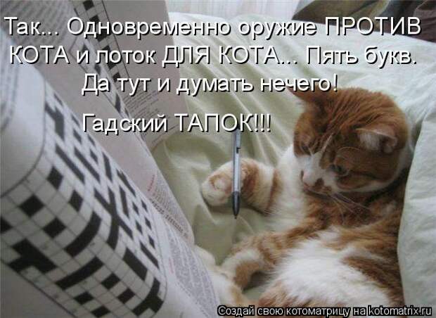 Котоматрица: Так... Одновременно оружие ПРОТИВ  КОТА и лоток ДЛЯ КОТА... Пять букв. Да тут и думать нечего! Гадский ТАПОК!!!