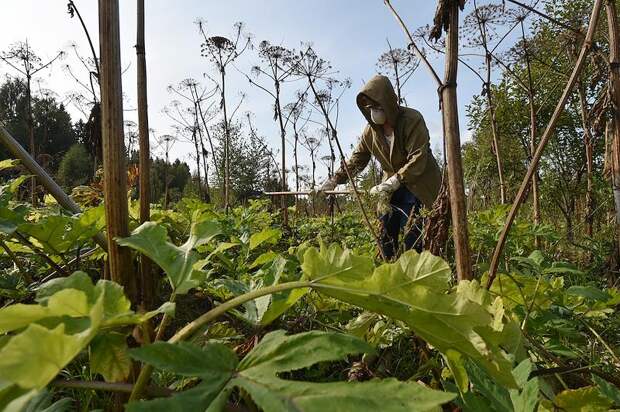 Российских дачников предупредили о новом штрафе