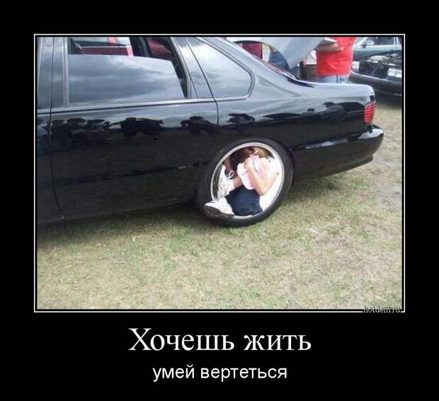 Демотиваторы демотиваторы, прикол, смех, юмор