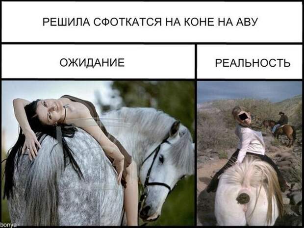 Ожидание и реальность ожидание, реальность, фото, юмор