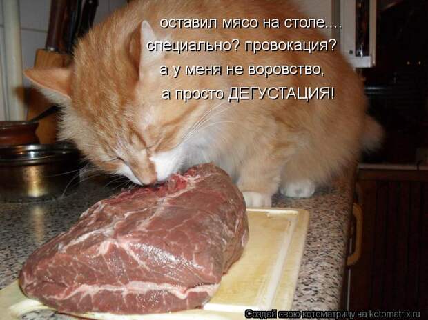 Котоматрица: оставил мясо на столе.... специально? провокация? а у меня не воровство, а просто ДЕГУСТАЦИЯ!