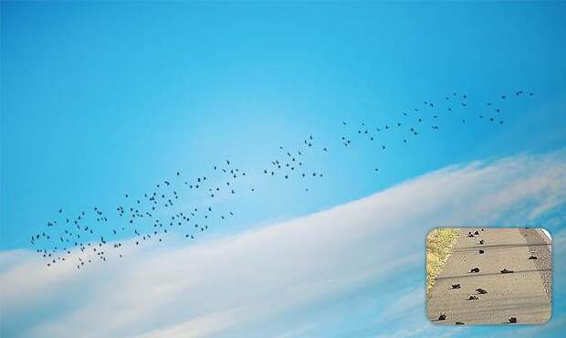 Долина падающих птиц - Интересные факты о Сверхъестественном и Паранормальном