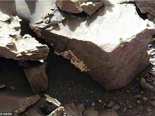 Фото взято с https://www.nnov.kp.ru/daily/26957/4012232/ Плесень, въевшаяся в марсианский камень.