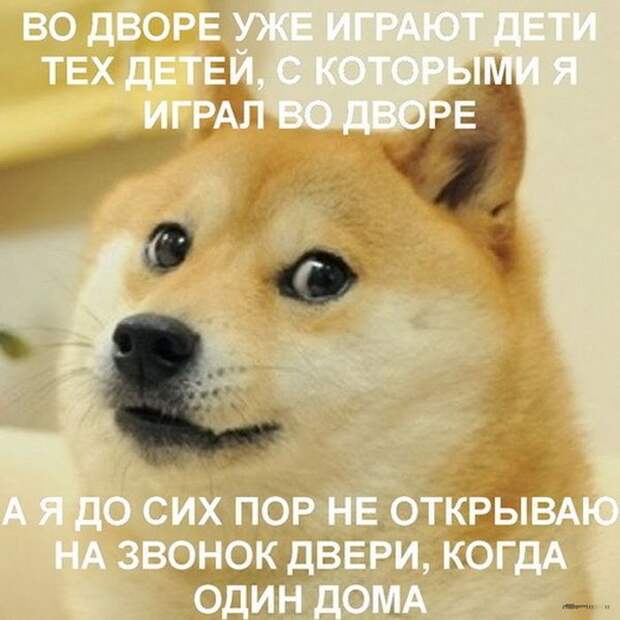 Смешные картинки с подписями катинки, прикол, юмор