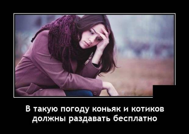 Демотиватор про котиков