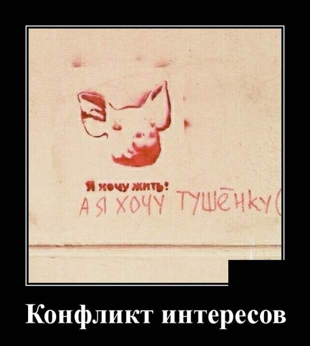 Демотиваторы (20 фото)