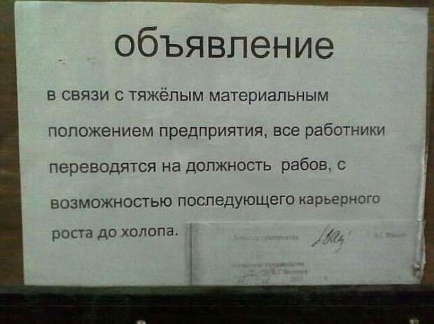 Смешные надписи и объявления Смешные надписи и объявления