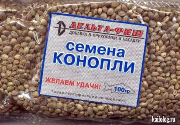 Прикольные семена (35 фото)