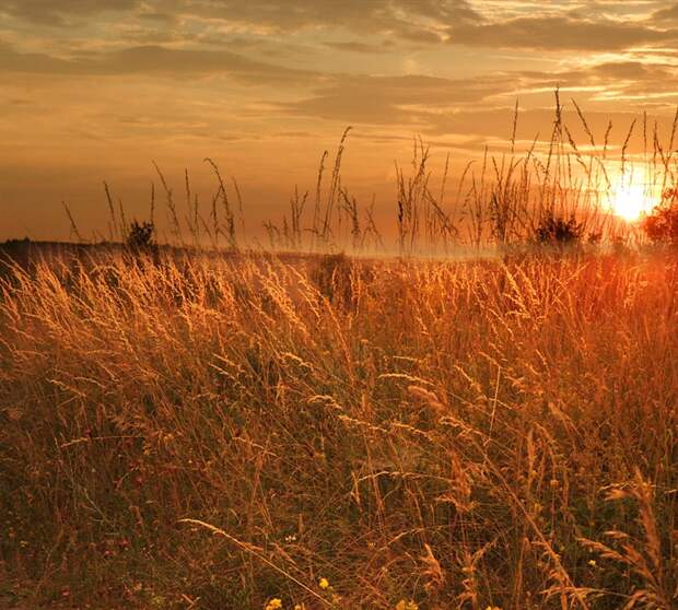 Фото жизнь - mondtag3106 - Пейзажи - Медовый закат