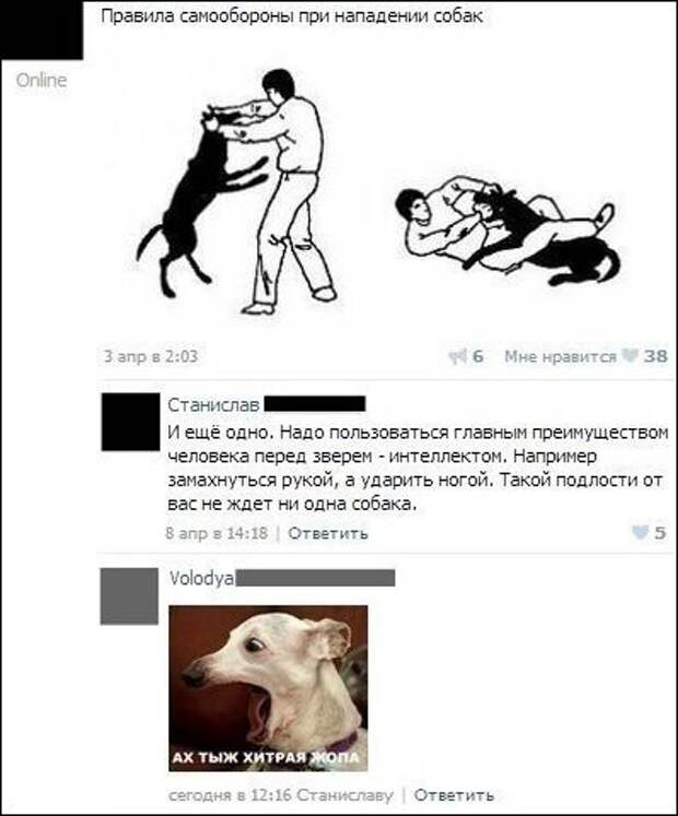 Смешные комментарии из соцсетей история, комментарии, смешно до слез, соцсети, юмор
