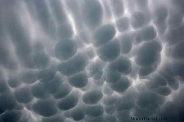 ufo clouds3 23 самых необычных природных явления