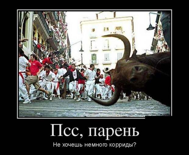 Демотиваторы отличной подборочкой для хорошего настроения
