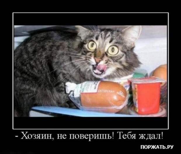 демотиваторы приколы