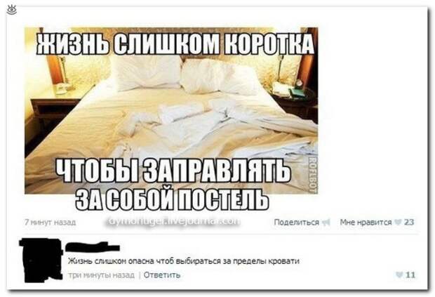 Комментарии, мимо которых не пройти 16