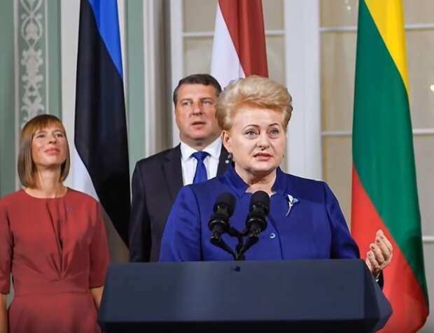 Литва возглавила антироссийский рейтинг «Kremlin Watch»