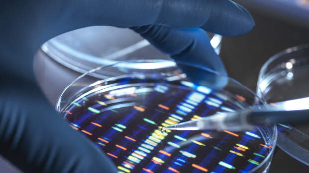 Генетик Мусатова: выявить талант с помощью ДНК-теста невозможно