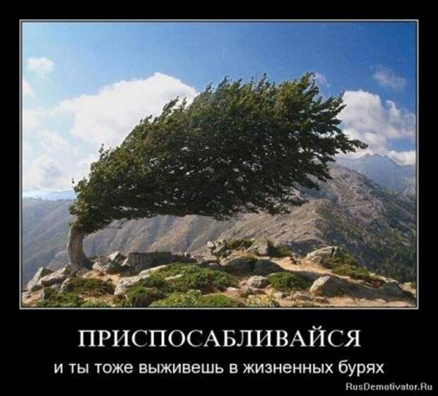 Демотиваторы серьезные, читать под настроение.