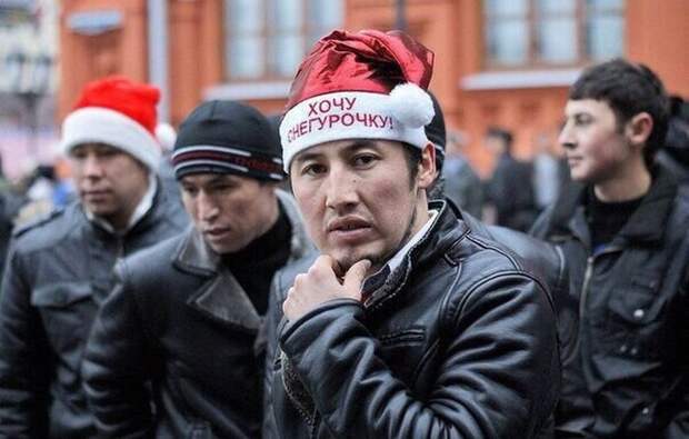 Прикольные картинки